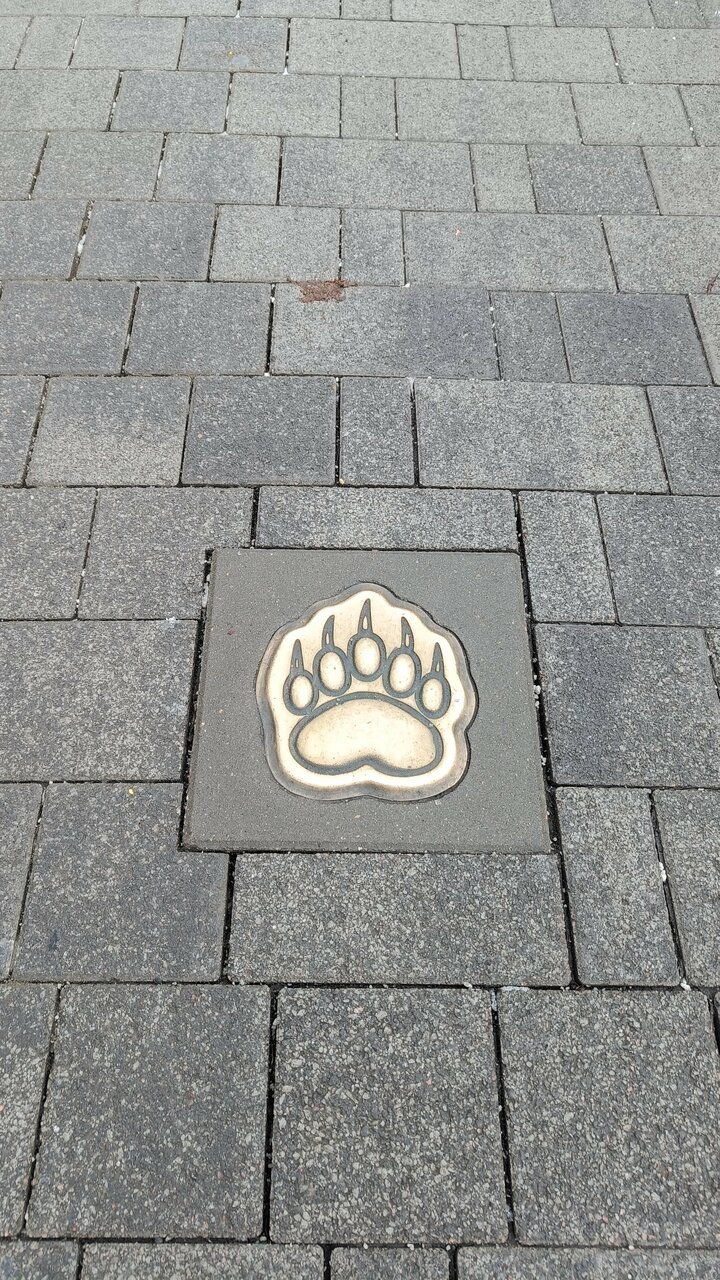 Гостиница Сказка Ярославль-82