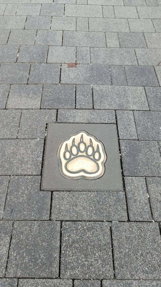 Гостиница Сказка Ярославль-81